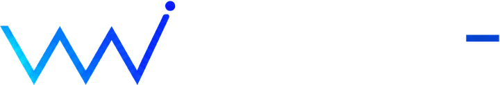 VIDWISE